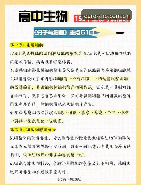 中欧体育平台实用探索指南：从下载到注册的创新玩法解析